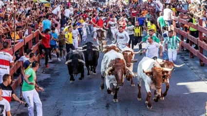 Encierro por las calles de San Sebastián de los Reyes (Madrid)