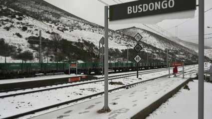 Fotografía de a nieve este domingo, en Busdongo (León)