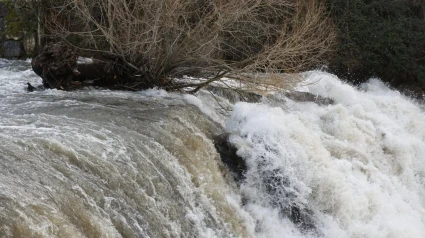 El cauce del rio Ultzama a su a su paso por la localidad navarra de Villava