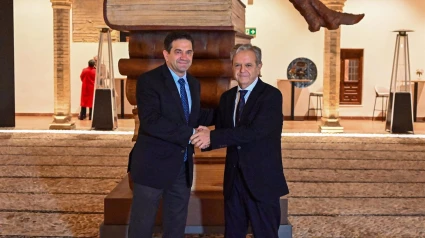 Los presidentes de las diputaciones de Córdoba y Ciudad Real reclaman su conexión por autovía.Los presidentes de las diputaciones de Córdoba y Ciudad Real, Salvador Fuentes y Miguel Ángel Valverde, han mantenido recientemente un encuentro institucional en el Palacio de Congresos de la capital cordobesa, en el que han puesto sobre la mesa la urgente necesidad de que una autovía conecte ambas provincias.POLITICA ANDALUCÍA ESPAÑA EUROPA CÓRDOBA ECONOMIADIPUTACIÓN DE CÓRDOBA