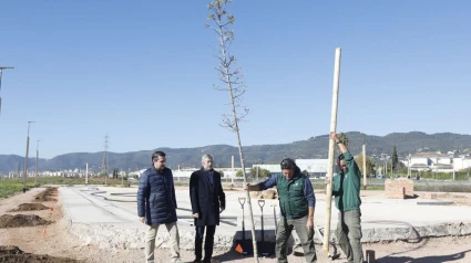 Momento de la plantación