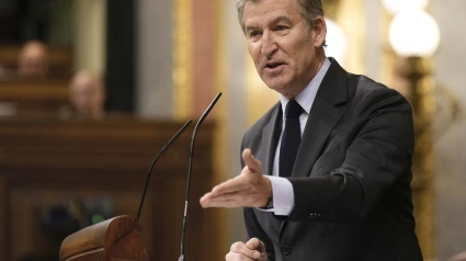 Alberto Núñez Feijóo, presidente del PP, durante su intervención en la sesión de control al Gobierno