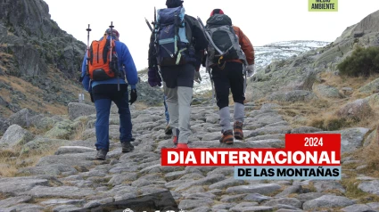 Día Internacional de las Montañas