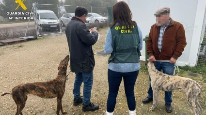 Operación de la Guardia Civil para recuperar galgos robados