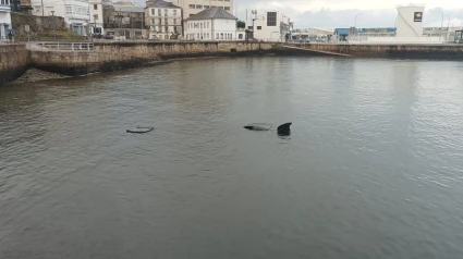 Un coche se precipita al mar en el puerto de Burela (Lugo)