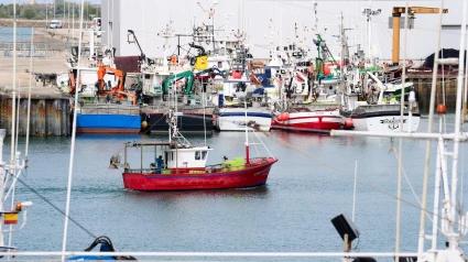 Barcos atracados en el puerto