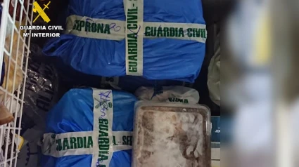 60 kilos de pulpo, sepia, calamares y gambas sin controles sanitarios