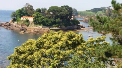 Castillo de Santa Cruz (Oleiros)
