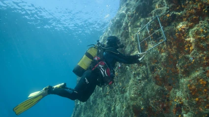 La Junta refuerza la protección y conservación de la biodiversidad en el Parque Natural Cabo de Gata-Níjar