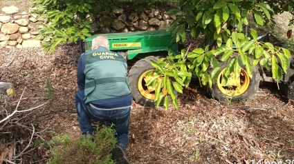 La Guardia Civil, en el marco de la operación BERMEJAFIRE, ha detenido a un varón de cincuenta y seis años de edad como presunto autor del incendio forestal ocurrido el verano pasado en el paraje Peña Escrita, en el que ardieron más de 600 hectáreas de superficie forestal y agrícola de los términos municipales de Almuñécar (Granada) y Nerja (Málaga).El incendio se produjo sobre las 20:00 horas del pasado día 13 de agosto. El fuerte viento, con rachas de hasta 80 kilómetros por hora, hizo que se propagara rápidamente y que los servicios de extinción tardaran casi tres días en extinguirlo.Desde el primer momento el Equipo de Policía Judicial Medioambiental del SEPRONA de la Comandancia de la Guardia Civil de Granada puso en marcha una operación para tratar de averiguar quién era el autor del incendio.En colaboración con la Brigada de Investigación de Incendios Forestales de la Delegación Territorial de Sostenibilidad y Medio Ambiente de la Junta de Andalucía, los agentes del SEPRONA localizaron el punto de inicio en el camino que da acceso a la finca del detenido y descubrieron que este hombre poseía un tractor que pudo ser el desencadenante del fuego.Los investigadores de la Guardia Civil han descubierto que el tubo de escape del tractor del detenido queda a la altura de la maleza del camino y que este, tras varias horas de funcionamiento, se puso incandescente y pudo ser el causante del incendio. Durante el trayecto, el tractorpresumiblemente provocó los varios focos; el fuerte viento después hizo que las llamas se propagaran rápidamente a las fincas vecinas y a la masa forestal que había a continuación.La Guardia Civil ha investigado a este agricultor como presunto autor de un delito de incendio por imprudencia grave por incumplir las condiciones establecidas en el Decreto 247/2001, de 13 de noviembre, por el que se aprueba el Reglamento de Prevención y Lucha contra los Incendios Forestales.El agricultor detenido había comprado el tractor el día de antes y la empresa que se lo vendió lo hizo sin que el vehículo hubiera pasado la ITV obligatoria. De hecho, el tractor no pasó la inspección técnica de vehículos en sus treinta años de vida. Por dicho motivo el vendedor del tractor ha sido investigado como colaborador necesario en este incendio.