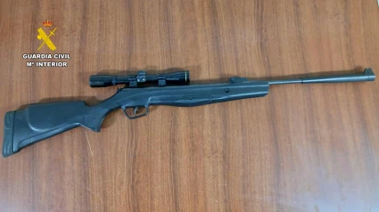 La Guardia Civil esclarece la muerte de gatos en Valverde de la Vera y detiene a dos jóvenes