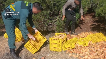 Una operación de la Guardia Civil en los montes zamoranos