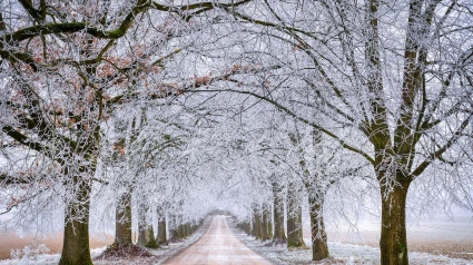 ¿Qué tiempo hará en Castilla y León estas navidades?