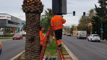 Nuevos radares instalados en la Avenida de Denia