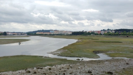 Ría de O Burgo en 2018