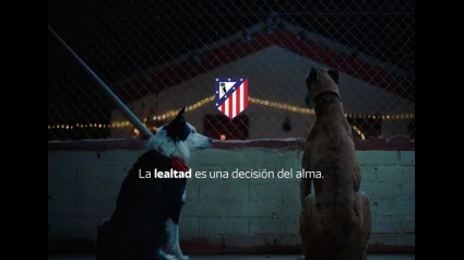 El emotivo vídeo que utiliza el Atlético para felicitar la Navidad