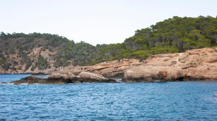 Mar Mediterráneo, archivo