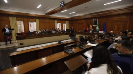 Pleno del Ayuntamiento de Córdoba