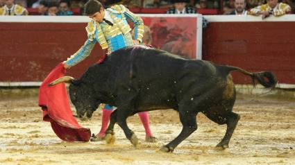 Sebastián Castella durante su actuación este sábado en la Feria de Cali