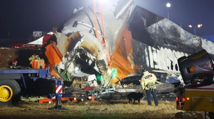 Bomberos y perros siguen buscando víctimas entre los restos del avión estrellado en Corea del Sur