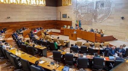 Vista del hemiciclo de la Asamblea de Extremadura, donde e debatirá la propuesta de ley de concordia a iniciativa de Vox.