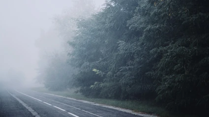 Carretera con niebla