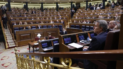 El líder del PP, Alberto Núñez Feijóo, durante un pleno del Congreso de los Diputados en Madrid