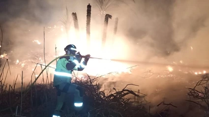 Un bombero sofoca el incendio en el paraje de El Cocón de áGUILAS