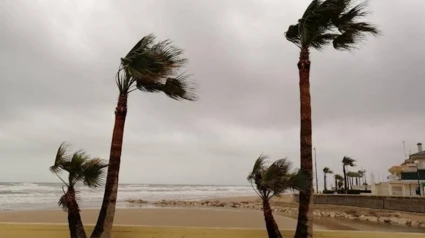 Las fuertes rachas de viento serán protagonistas mañana en el sur alicantino.