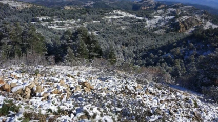 Se esperan heladas nocturnas en casi toda la provincia de Castellón