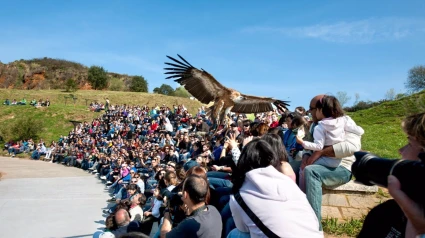 Imagen de archivo del Parque de la Naturaleza de Cabárceno.GOBIERNO DE CANTABRIA