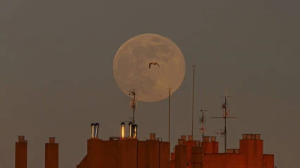 Primera luna llena del 2025.