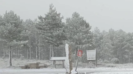 Se espera la primera nevada importante del invierno en Castellón