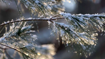 Temperaturas bajo cero en varias localidades ourensanas