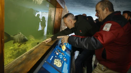 El consejero de Medio Ambiente, Carlos Novillo, en el nuevo acuario de La Pedriza