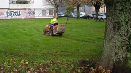 Un operario realizando tareas en un parque de Ferrol