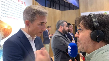 Alfonso Díaz, CEO de negocio del RCD Mallorca, en Fitur