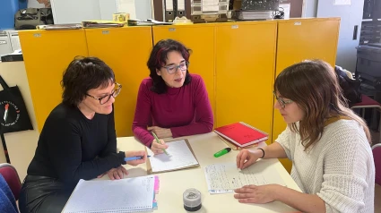 Trabajadoras Sociales de Castellón