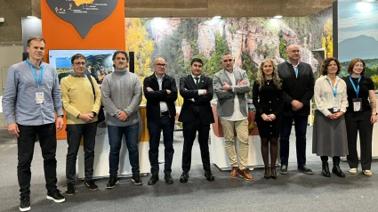 Participantes en la presentación del Xeoparque este jueves en Fitur