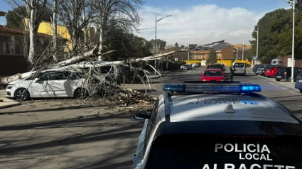 Policía local alerta fuertes rachas de viento