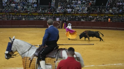 Olga Casado durante su actuación en el festival benéfico del Palacio Vistalegre