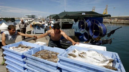 Pescadores valencianos - EFE - BIEL ALIÑO