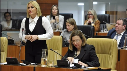 La consejera de Hacienda, Elena Manzano, en el pleno de la Asamblea