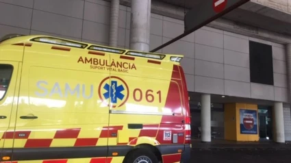 Un joven muere atropellado cuando cruzaba la carretera de Valldemossa