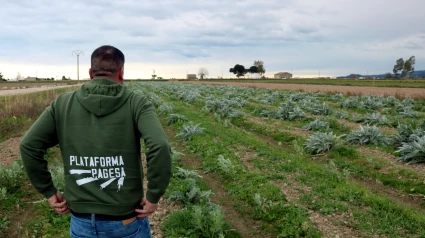 "En un año no ha habido mejoras en el sector"