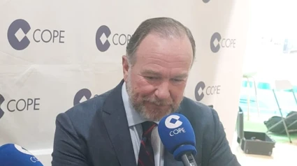 José Luis García-Palacios, presidente de la FOE