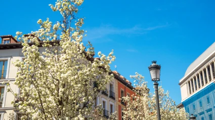 Las farolas de Madrid tienen un secreto muy útil