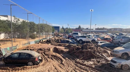 Así quedó el campo de fútbol de Benetússer