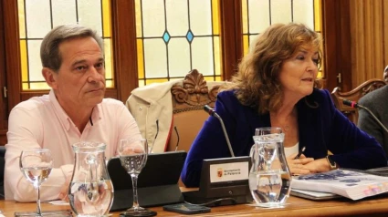 Sonia Lalanda en un pleno del ayuntamiento de Palencia