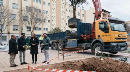 Plantación de árboles en la plaza ubicada en El Forn del Pla de Castellón de la Plana